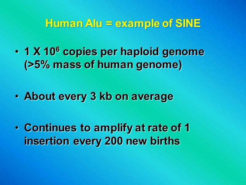 Human Alu = example of SINE 1 X 106 copies per haploid genome (>5%